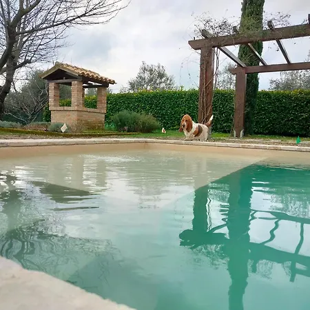Ca' Le Cerque, Surrounded By The Marche Nature Nyaraló Fossombrone
